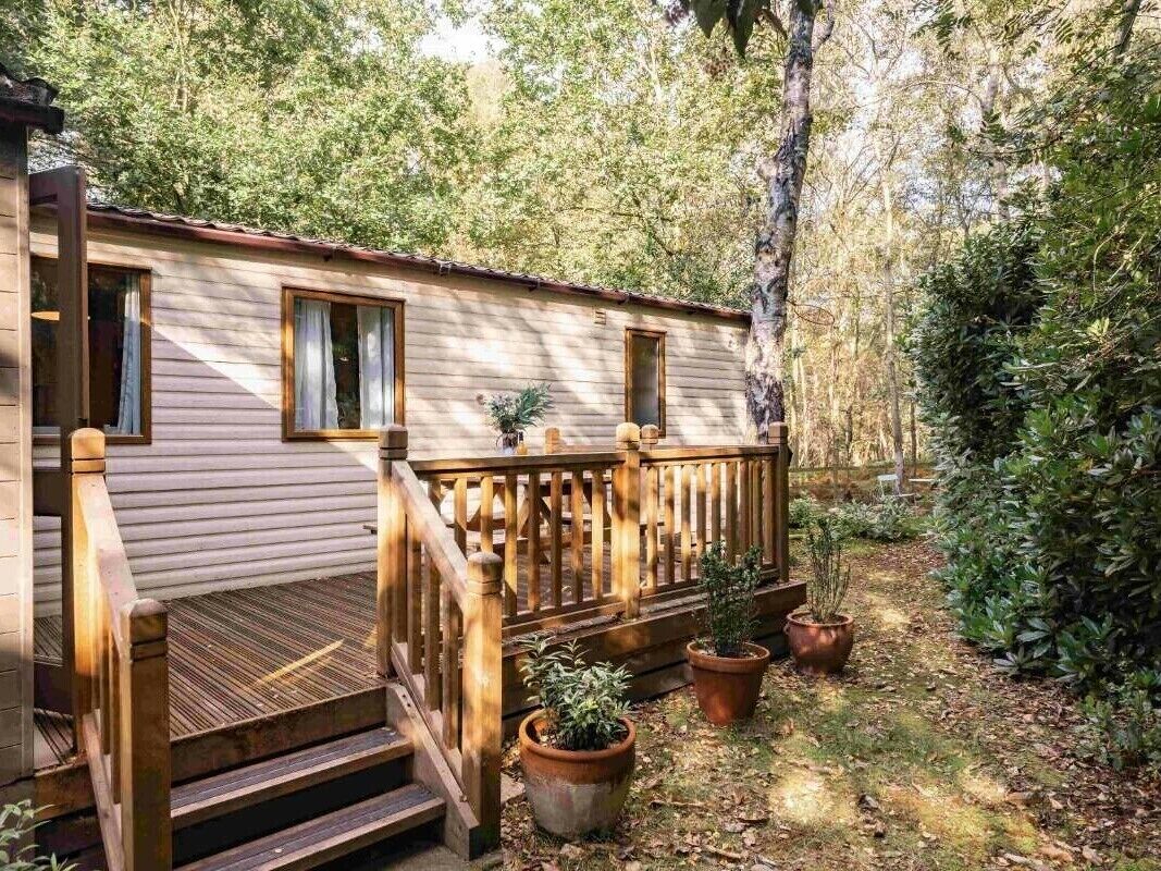 A wooden cabin with a deck, surrounded by trees and potted plants.