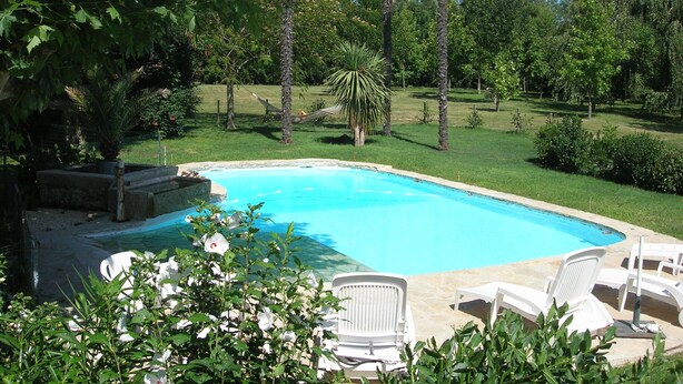 Ein Swimmingpool mit weißen Liegestühlen, umgeben von üppiger Vegetation und Palmen.