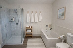 Secador de pelo, toallas, jabón, papel higiénico