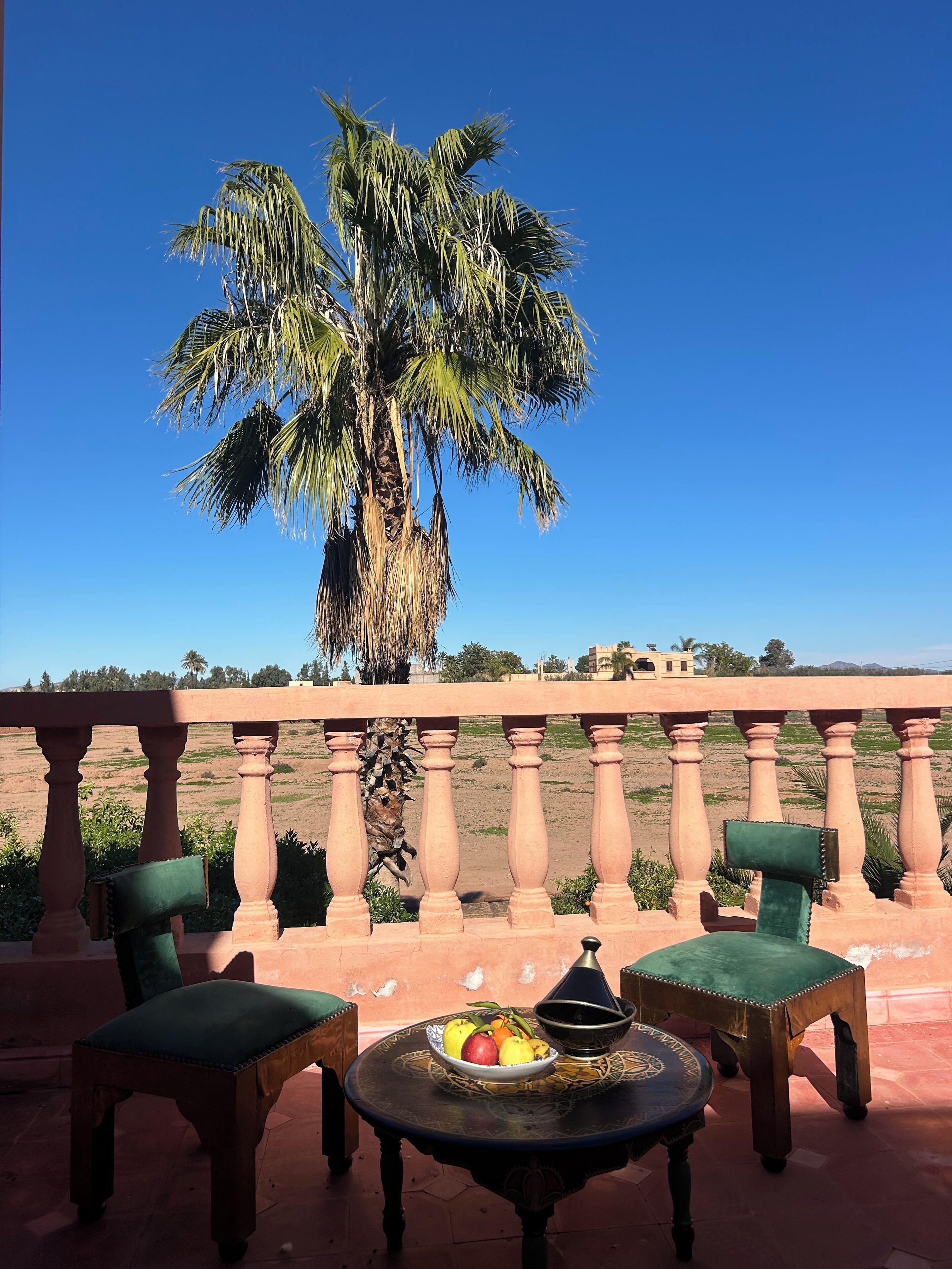 Une terrasse avec un palmier, une table sur laquelle se trouve un saladier rempli de fruits, et deux chaises.