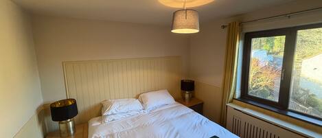 Iron/ironing board, free WiFi