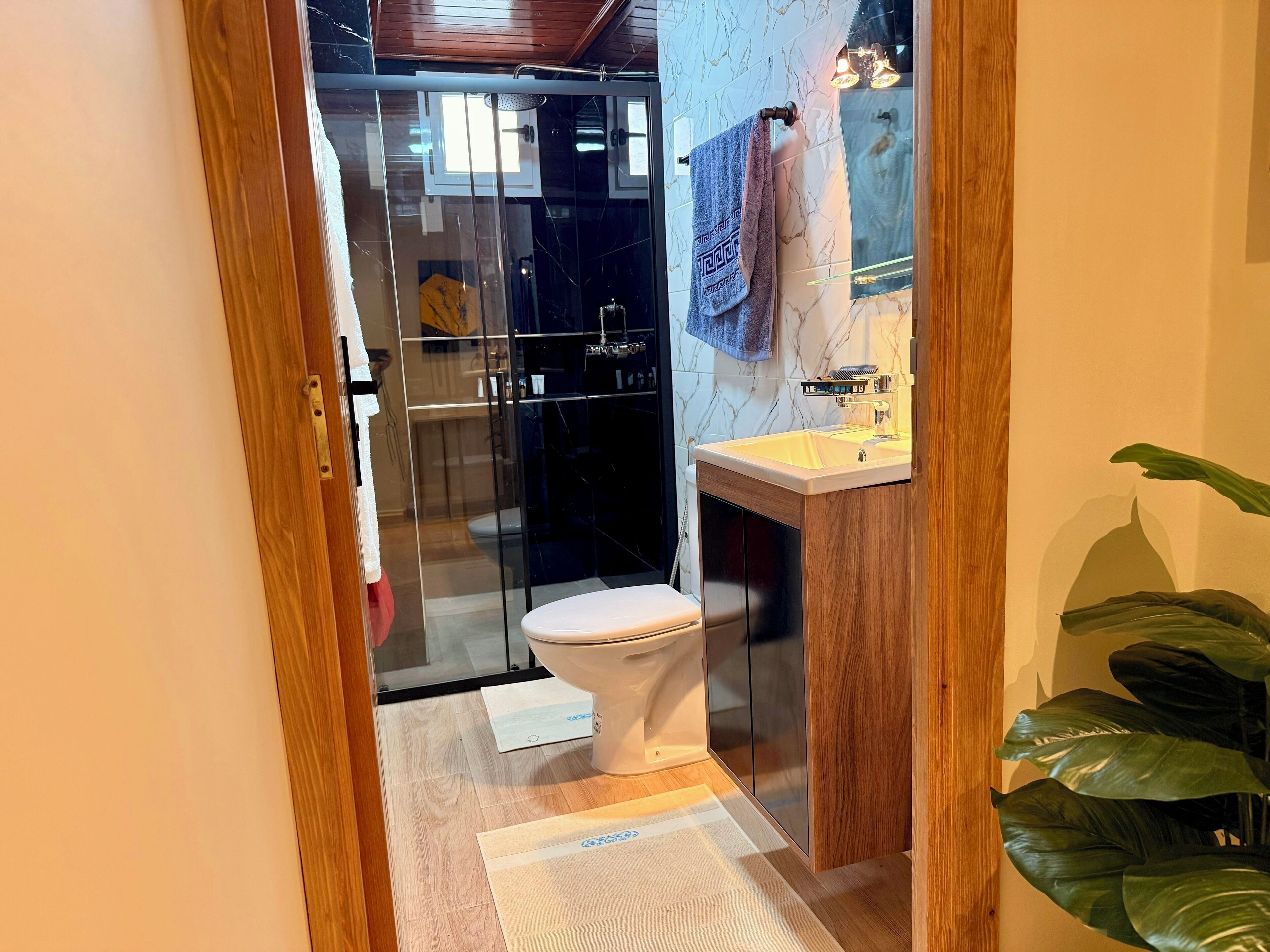 Regadera, toallas, papel de baño 