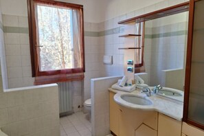 Shower, bidet, towels, shampoo - Near Milan (Villa Milos) (Senago)