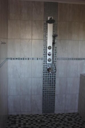 Shower, towels, toilet paper