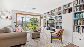 Smart TV, fireplace, DVD player, books
