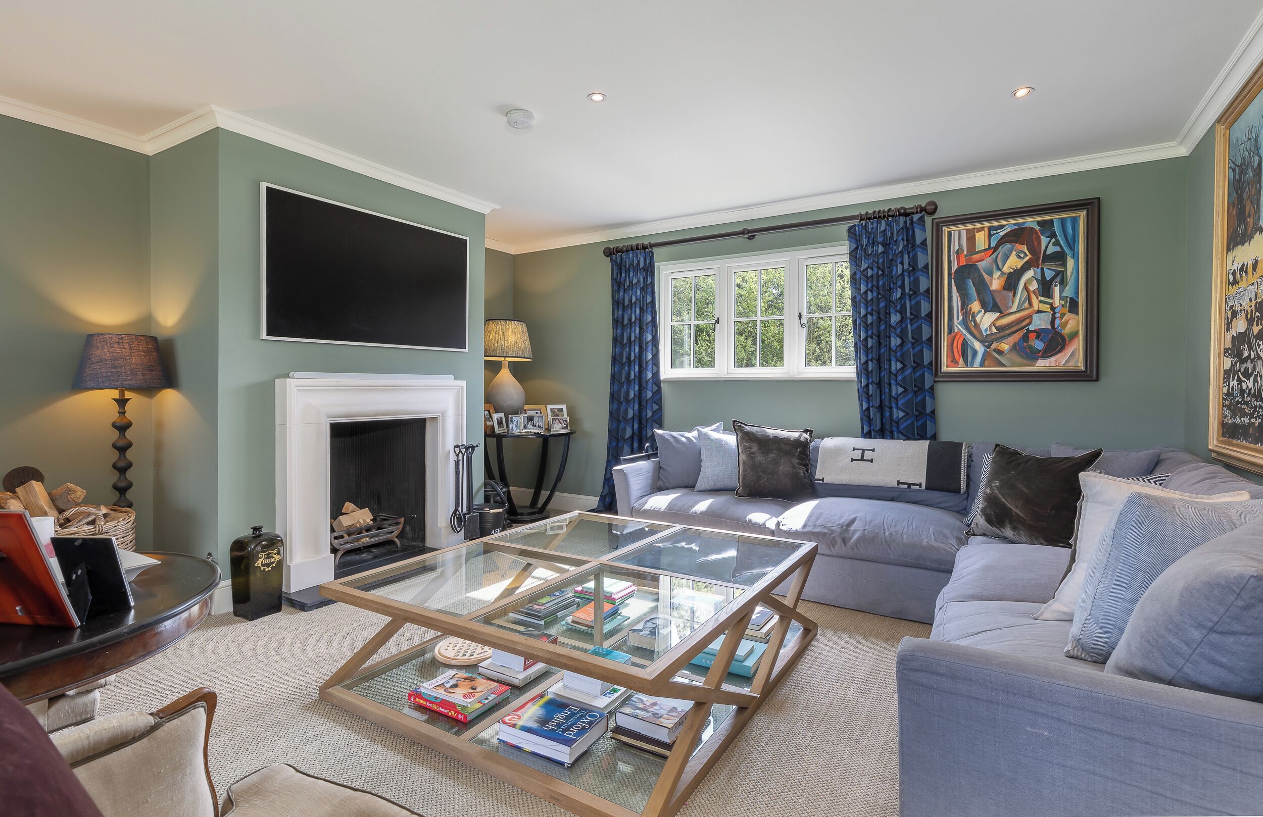 テレビ、暖炉、ステレオ、プリンター