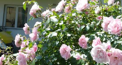 Holiday Apartment Obsthof am See with Shared Garden, Balcony and Wi-Fi