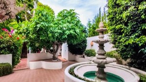 Terassi/patio