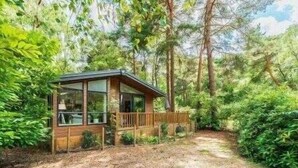 A small wooden cabin with a porch, surrounded by dense forest. - Guelder Rose Lodge - Kelling Heath Holiday Park - 22249 (Holt)