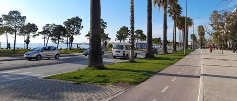 A paved road with a bike lane, palm trees, and a pedestrian path alongside a body of water.