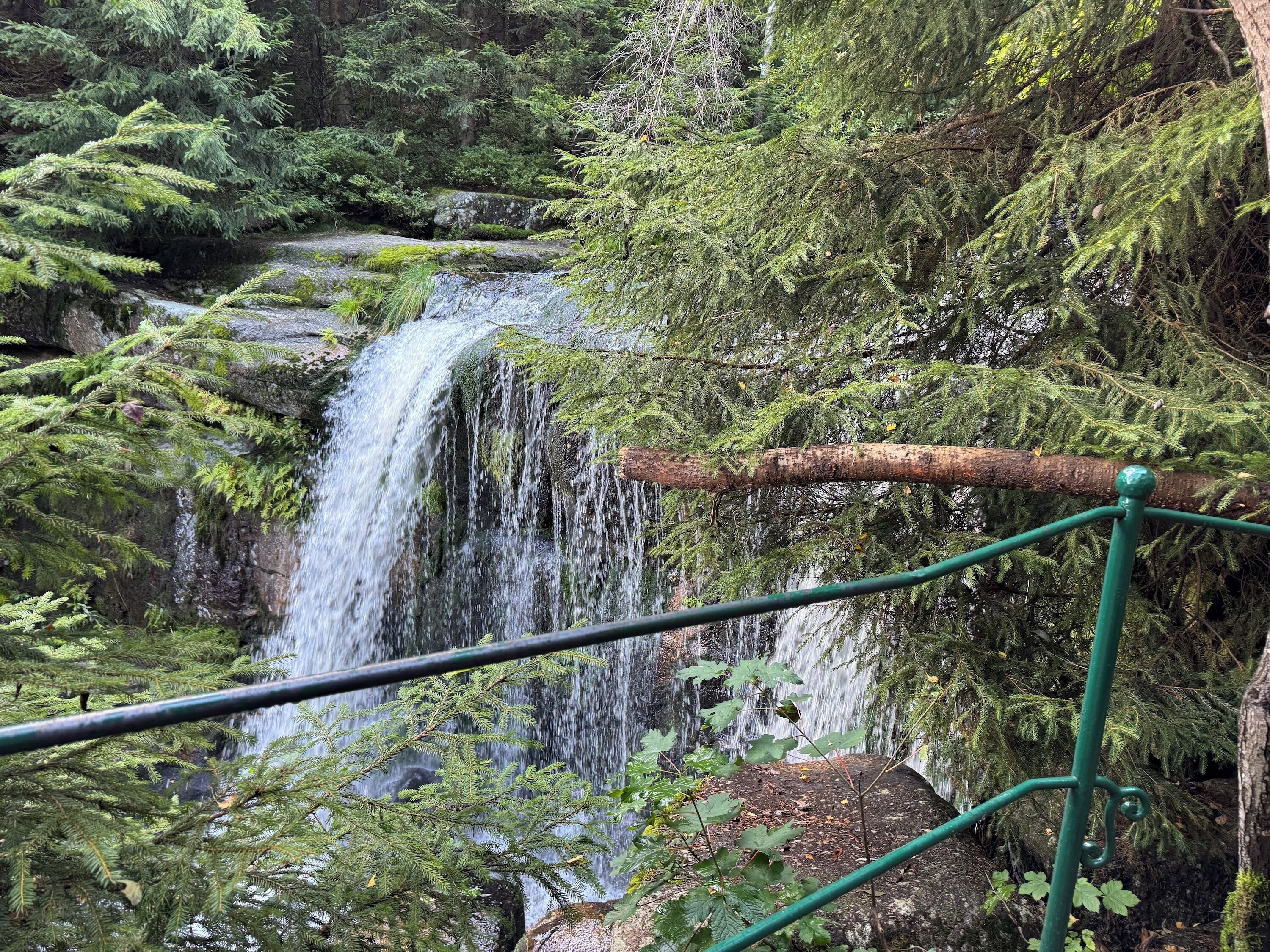 Een waterval omgeven door dicht bos en een metalen hek.