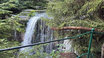 Een waterval omgeven door dicht bos en een metalen hek.