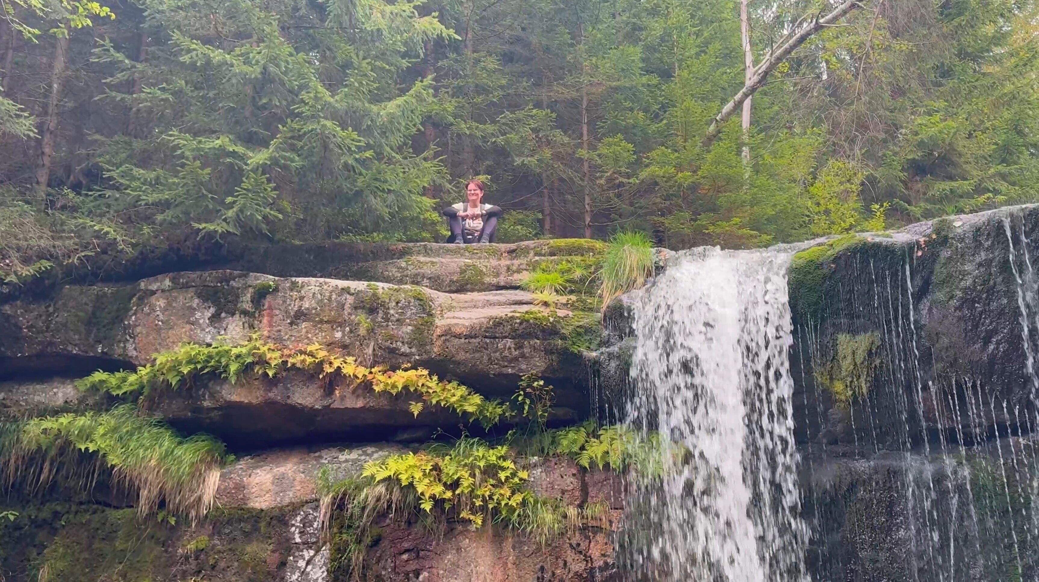 Una cascada se precipita sobre un risco rodeado de bosque denso.