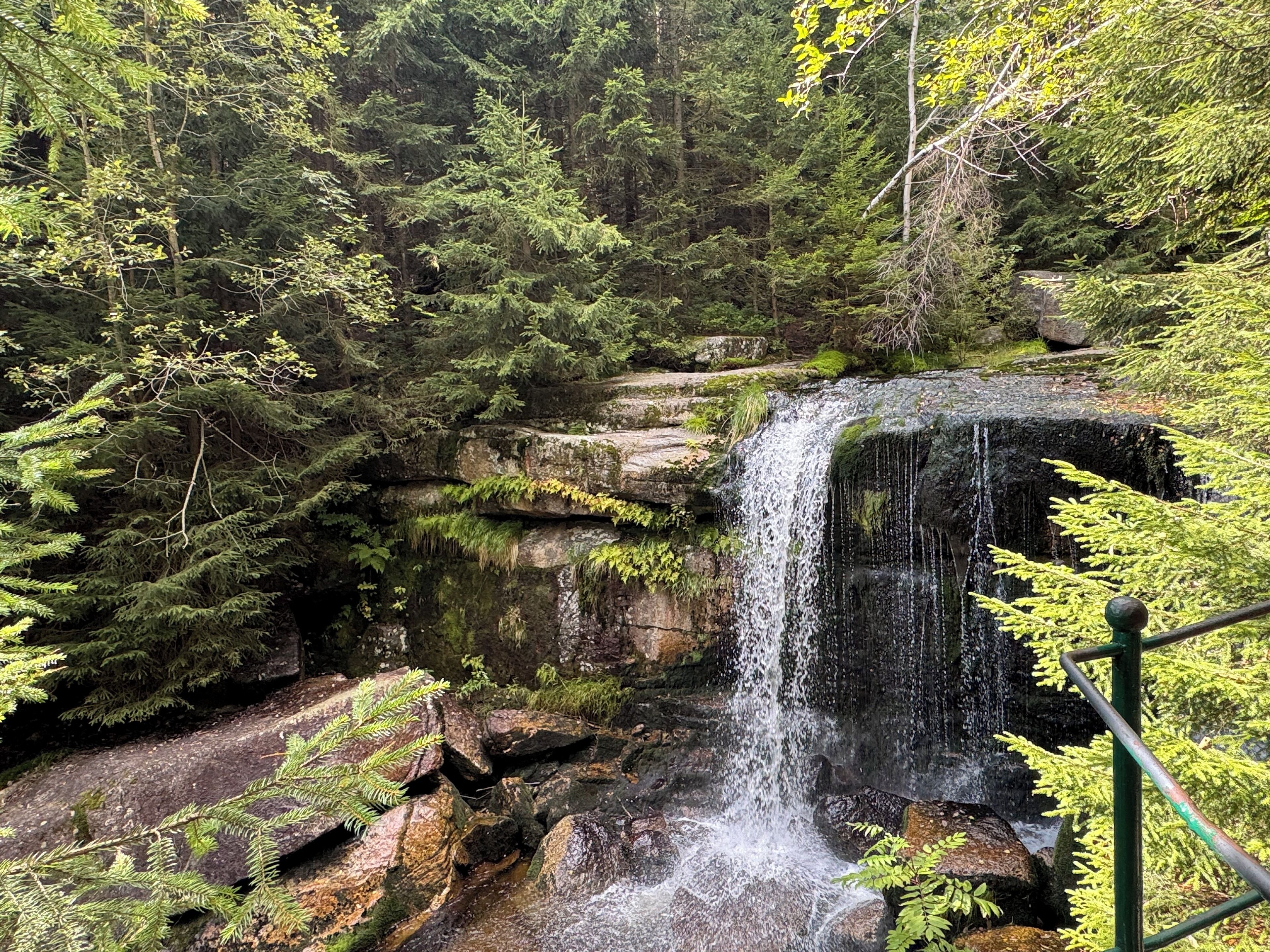 Ein Wasserfall stürzt über felsiges Gelände, umgeben von dichtem Grünwerk.