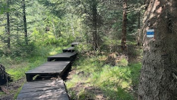 Overnatningsstedets område