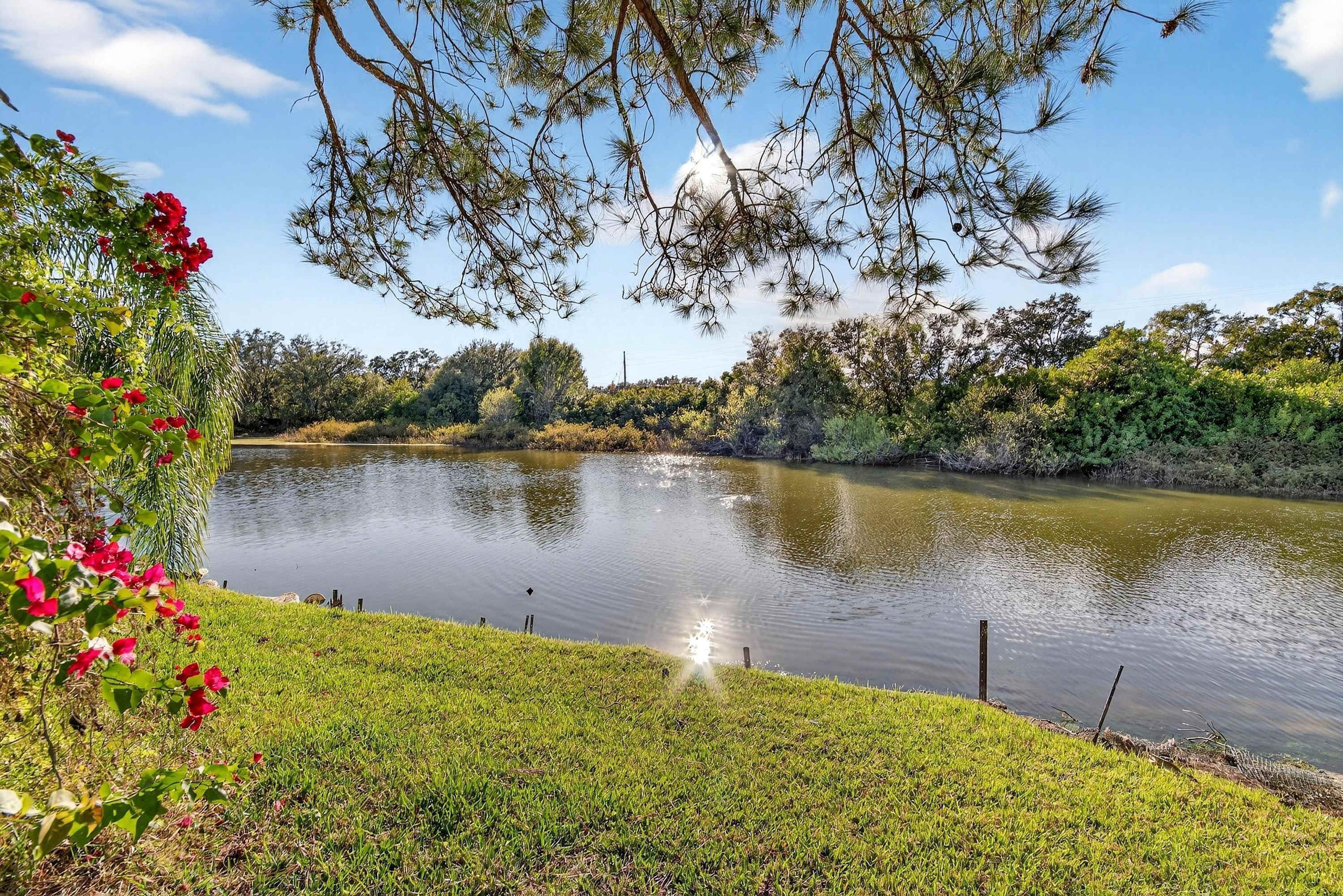 Une vue paisible sur un lac, avec une prairie au premier plan et un feuillage dense en arrière-plan.
