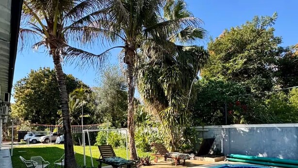 Una piscina con sillas de descanso y palmeras.