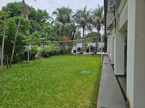 Zona verde y bien cuidada con una red de voleibol, rodeada de abundante vegetación y palmeras.