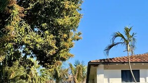 Un edificio de dos pisos con balcón, rodeado de abundante vegetación y palmeras.