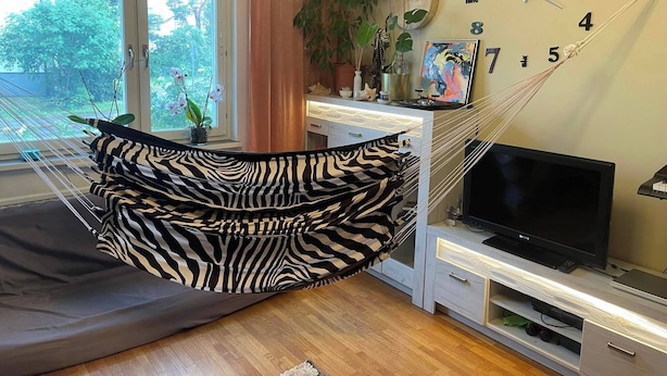 Een moderne woonkamer met een hangmat, een groot raam, een wandklok en een flatscreen-tv.
