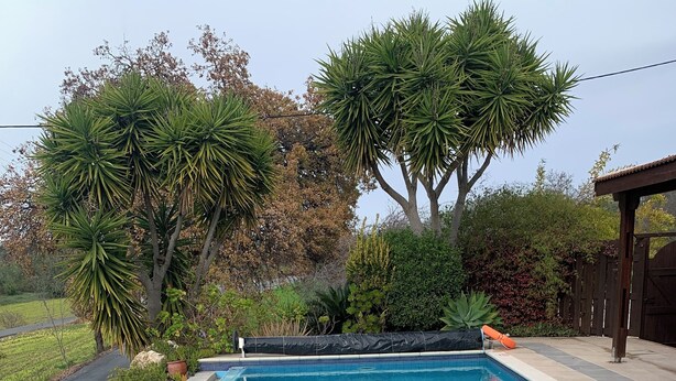 A rectangular swimming pool with blue tiles, surrounded by a tiled deck.