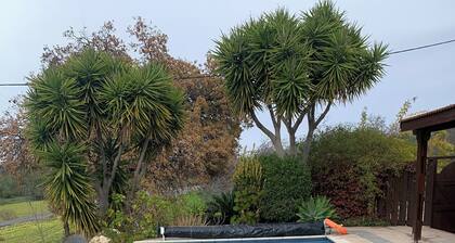 Villa Eldora Lysos With Beautiful pool