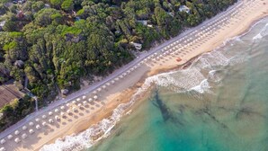 Vista aérea de una playa con hileras de sombrillas y sillas, una costa despejada y vegetación densa al fondo.