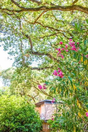 Property grounds - Residence with private beach in San Vincenzo (San Vincenzo)