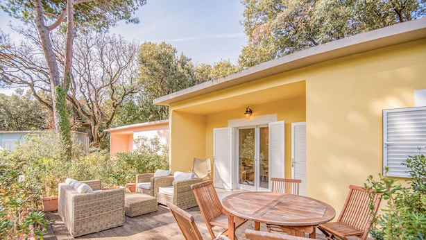 Un patio con mobiliario de mimbre y una mesa de madera, rodeado de plantas en macetas y árboles.