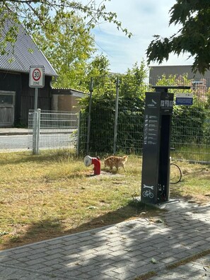 Enceinte de l’hébergement