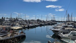 Un port de plaisance où sont amarrés de nombreux bateaux, avec des palmiers et un ciel bleu azur.