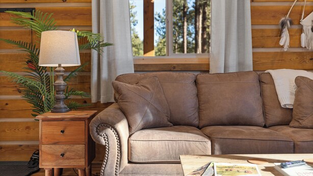 A brown leather sofa with a lamp and a plant in a wooden cabin room.