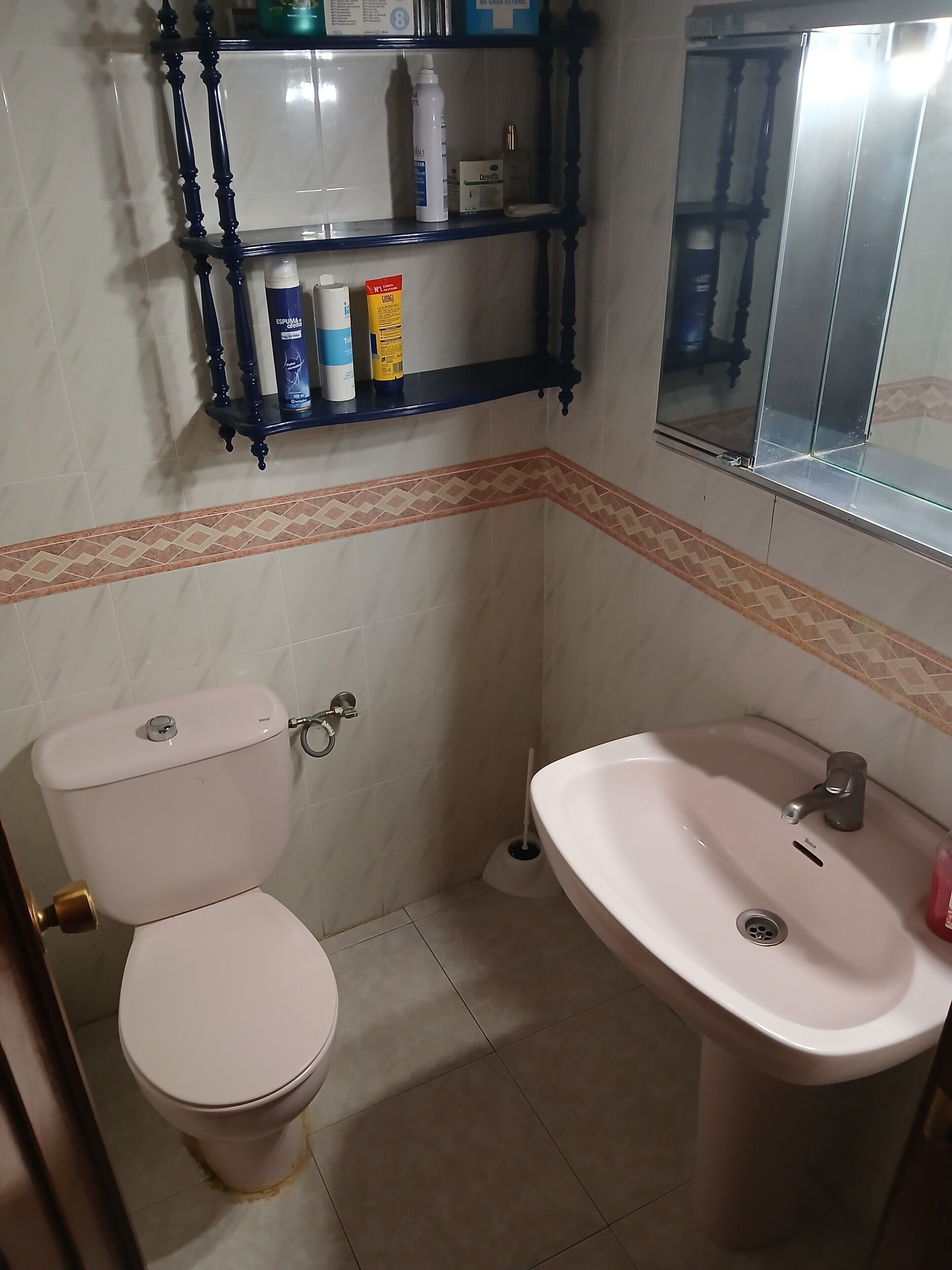 Ein Badezimmer mit Toilette, Waschbecken und Ablagen für Pflegeprodukte.