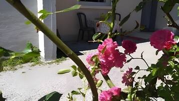 DĂ©tail de lâextĂ©rieur