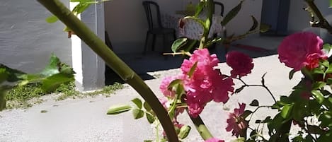 تفاصيل الفندق من الخارج