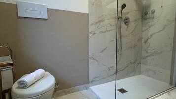 Shower, hair dryer, bidet, towels