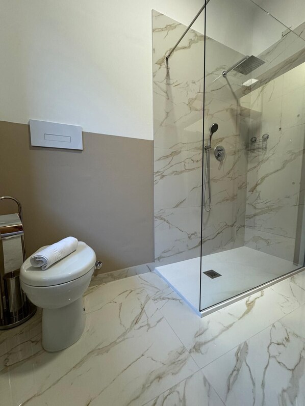 Shower, hair dryer, bidet, towels