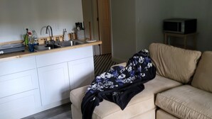 Ein Wohnzimmer mit einem beigefarbenen Sofa, einer Küchenzeile mit Spüle und Schränken sowie einer Mikrowelle auf einem kleinen Tisch.