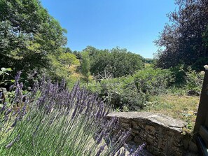 Property grounds - Cardabelle • Mas de Salel • Piscine & Nature 6pers (Montagnol)