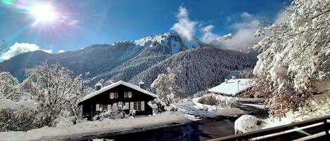 Apartment, 1 Schlafzimmer, Raucher, Balkon | Aussenbereich