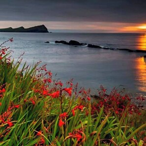 House, 3 Bedrooms, Fireplace | Beach - Ballyferriter Dingle Seaside Beautiful House (Ballyferriter)