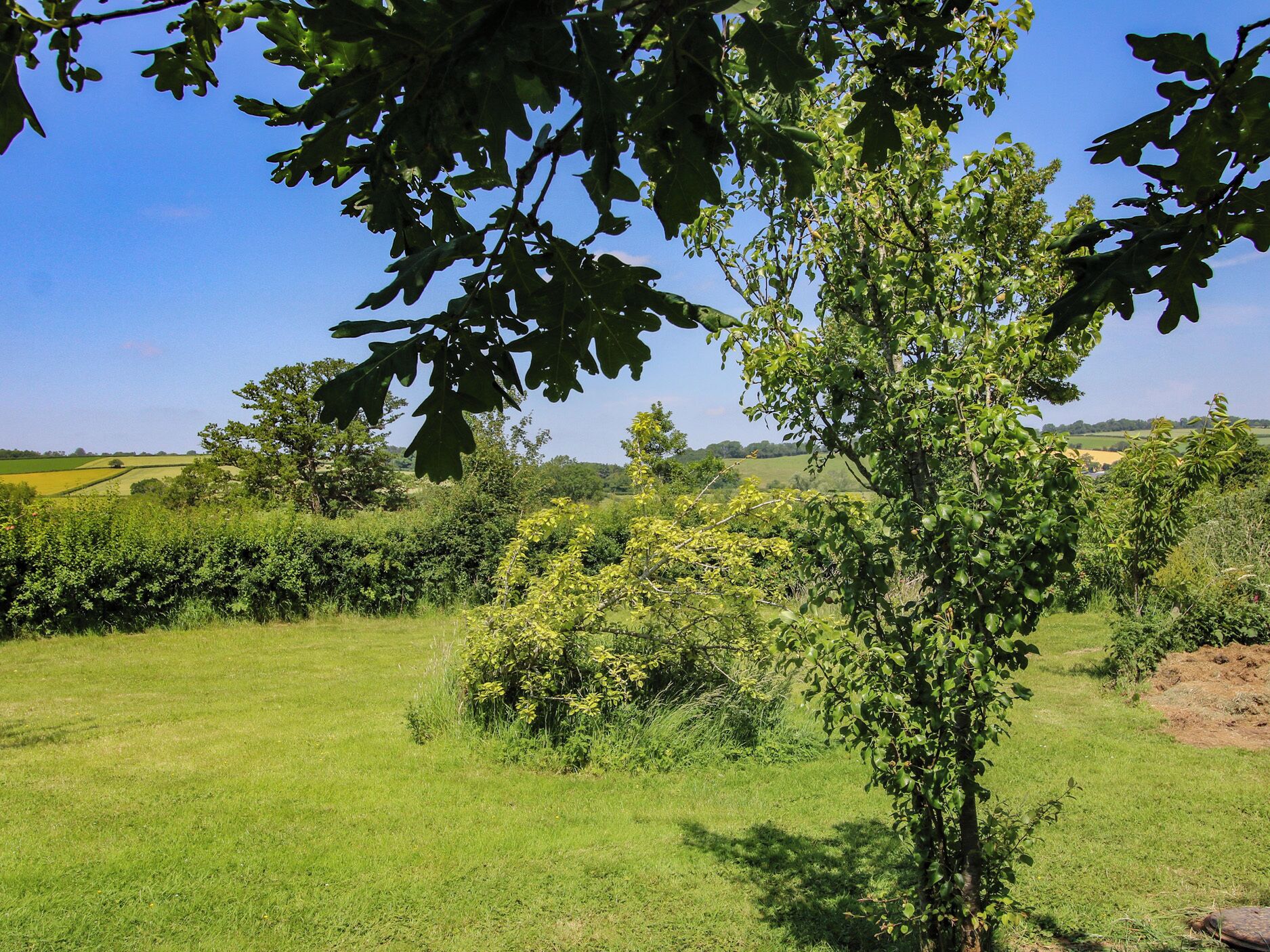 Cottage | Property grounds