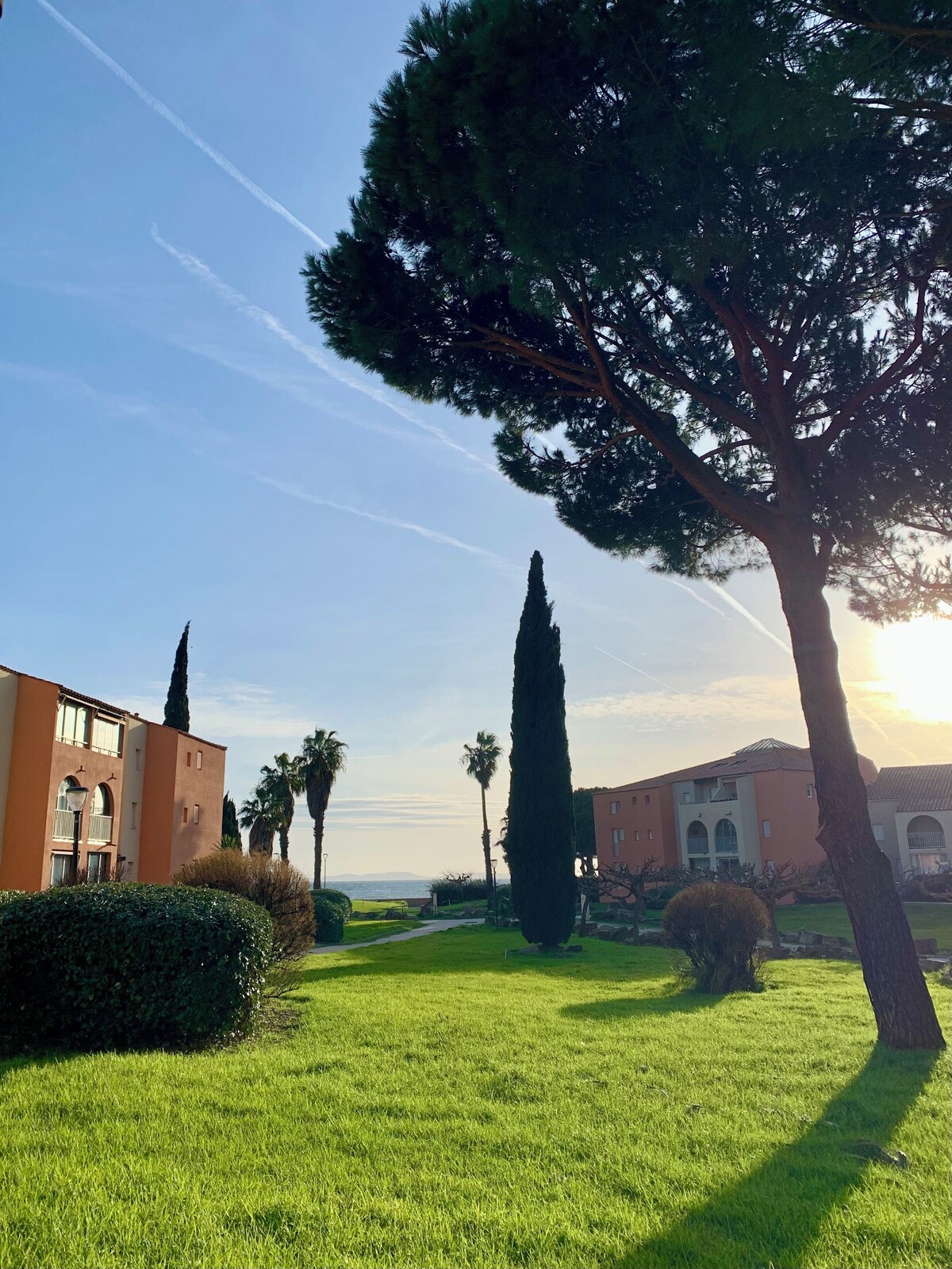 Imagen de perfil del propietario o de la propietaria