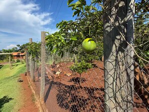 Àrea exterior de l'allotjament