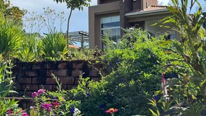 A modern house with a brick wall and a garden with various plants and flowers.
