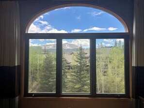 Interior - Mountaineer Townhome~3 Bed+Large Den/3 Ba~Hot tub! (Breckenridge)