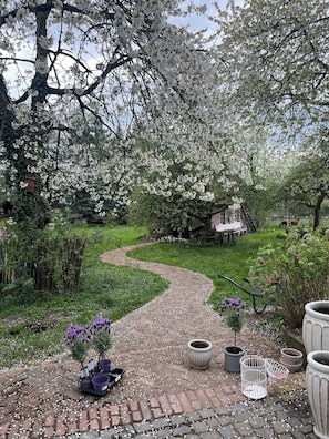 Un chemin de jardin bordé de plantes en pot et agrémenté d’une nichoir.