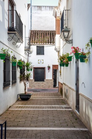 A narrow alleyway with white walls, tiled roofs, and hanging flower pots. - Estepona Inn beautiful apartment in the center of town (Estepona)