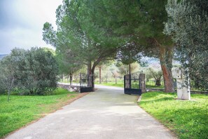 Property grounds - Mountain Voyage Residences | Serene Lesvos Stay (Vatoussa)