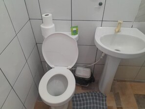 Regadera, toallas, jabón, shampoo 